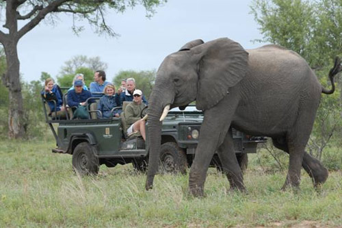Sheri's husband taking folks on safari