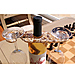 Shell Wine Glass Caddy thumbnail1